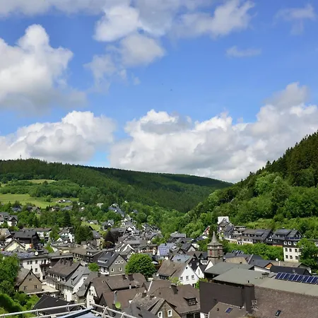 In Mit Skilift In Der Naehe * Willingen (Upland)