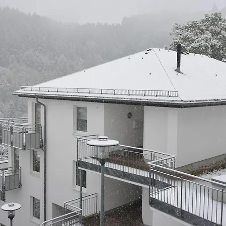 In Mit Skilift In Der Naehe Апартаменты Виллинген